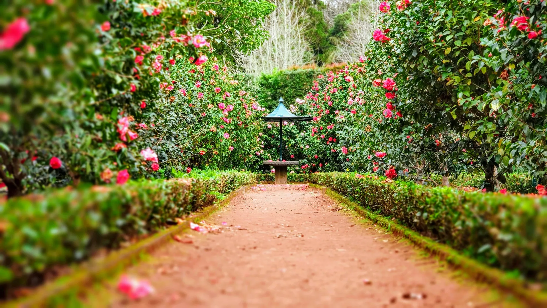 Création de jardin